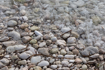 shore with stones