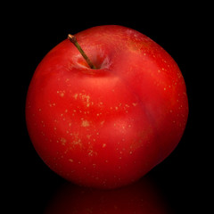 Ripe red plum on a black background