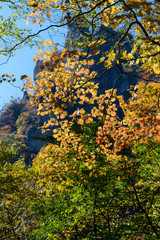 妙義山の紅葉