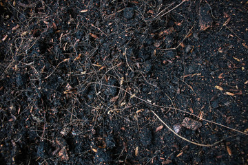 Soil abstract background texture.