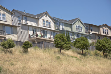 Fototapeta na wymiar Houses on a hillside in Richmond California.