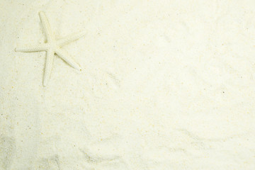 Fototapeta na wymiar Starfish on sand beach. Summer holiday background concept.