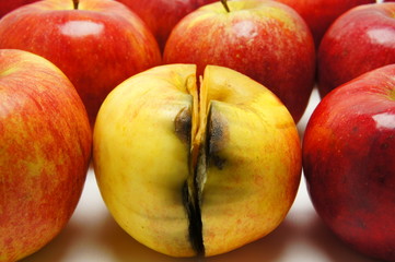 Impaired immunity. Split apple.
