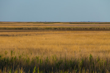 View on the Sivash lake, Ukraine