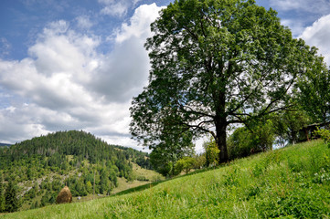 landscape on mountains