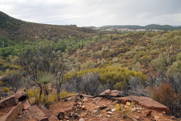Wilpena Pound South Australia, view of the australian bush and escarpment in the pound