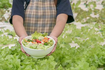 fresh organic salad