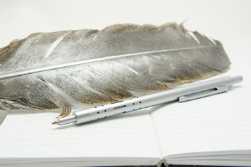 Pen of metal and quill.