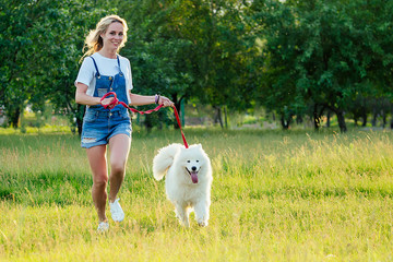 beautiful curly blonde smiling happy young woman in denim shorts training and running with a white fluffy cute samoyed dog in the summer park sunset rays field background . pet and hostess