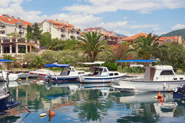 Fototapeta na wymiar Beautiful summer Mediterranean landscape with palm trees, blooming oleanders and fishing boats in harbor. Montenegro, Tivat city, view of Marina Kalimanj