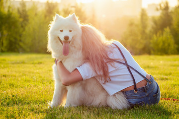 beautiful curly blonde happy young woman in denim shorts hugging a white fluffy cute samoyed dog in...