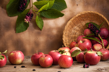 Fruit in wicker basket harvest.