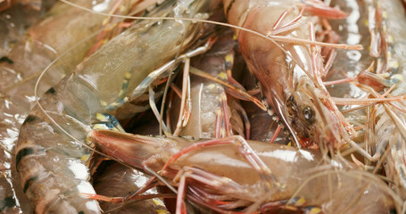 Fresh raw shrimp
