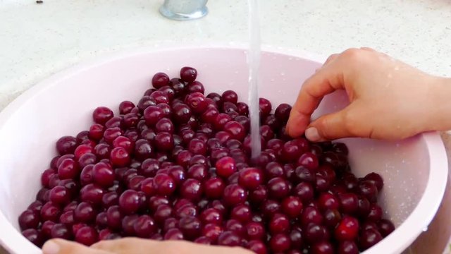 A woman is washing cherries to make cherry jam,


