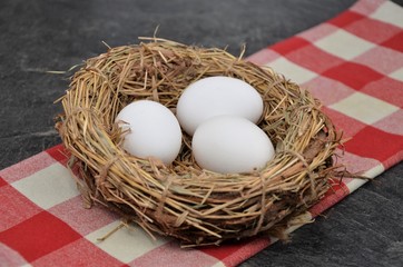 bird nest with chicken eggsd