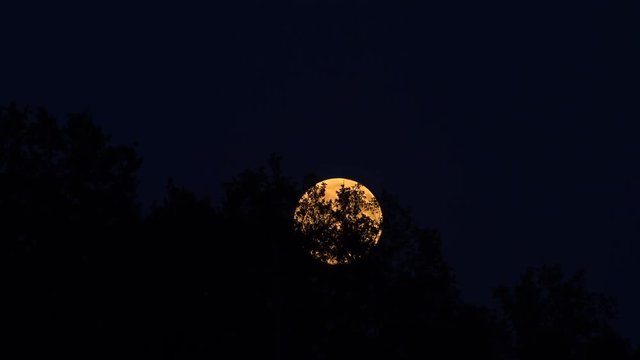 Shinny fool moon raising on dark sky, scary night
