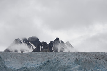 Picturesque icebergs of different forms in the Arctic