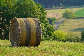 Paysage Campagne 310