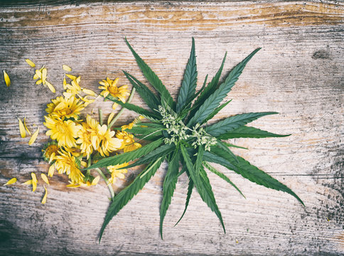marijuana and flowers