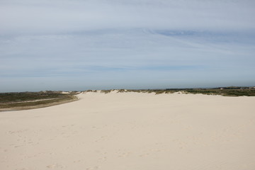Råbjerg Mile, Denmark.