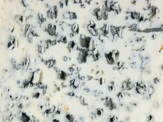 Schilderijen op glas Blue cheese texture or background. Close up. © xamtiw