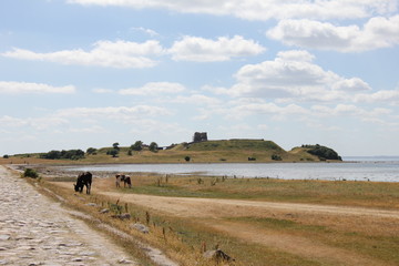 Kalø Slostruin, Denmark