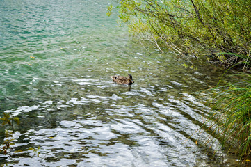 Plitvice waterfall lakes
