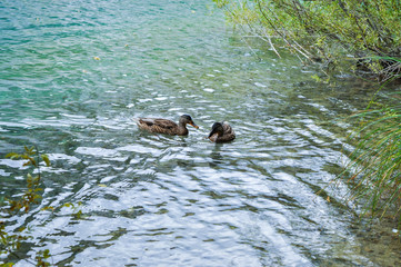 Plitvice waterfall lakes