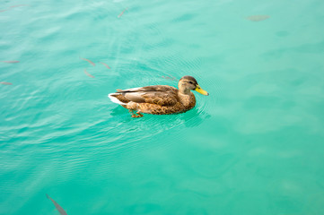 Plitvice waterfall lakes