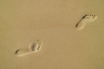 Fototapeta na wymiar Walking footprints of a woman on the sand beach 