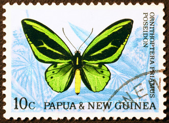 Wonderful butterfly on postage stamp of Papua New Guinea