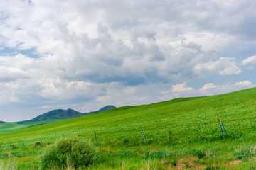 The Ulan prairie in the midsummer