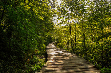 Plitvice waterfall lakes