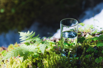 Clear water in a clear glass against a background of green moss with a mountain river in the background. Healthy food and environmentally friendly natural water