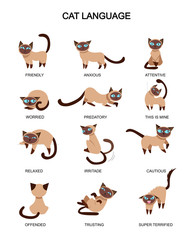 Cat language and feelings meaning. Cute cat expressions isolated on white background. Vector illustration. © Microstocker.Pro