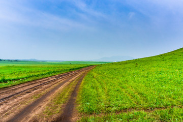A muddy soil road in the grassland