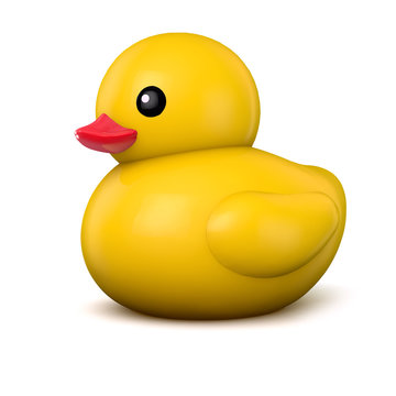 Rubber Duck Isolated