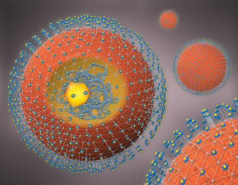 3d illustration of a cross section of a hepatitis pathogen with rns,cell nucleus and receptors