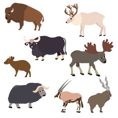Wild animals set in flat style. Vector Illustration