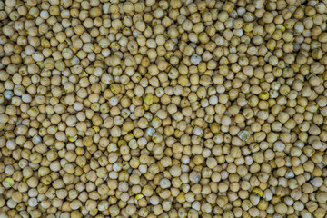 Fresh raw chickpeas ready for hummus or falafel shot from above