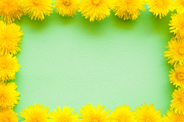 Fresh, yellow dandelions on pastel green background. Bright colors. Mockup for positive ideas. Empty place for inspirational, emotional, sentimental text or quote.