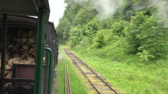Old steam train wagon with wooden timber in green nature