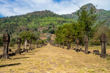 Fototapeta na wymiar Laos - Frangipani in Wat Phou