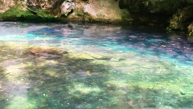 Дайверы плывут под водой в голубом озере пещера мечты ворота Сенот возле Дос Охос, Мексика.