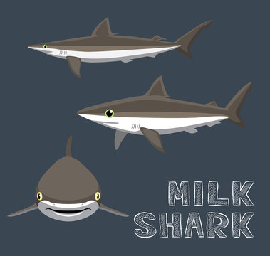 Milk Shark Cartoon Vector Illustration
