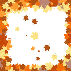Frame with autumn leaves in different autumn colors