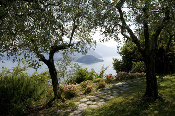 Fototapeta premium panorama