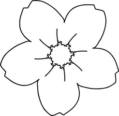 Five petals cherry blossom drawing in black and white