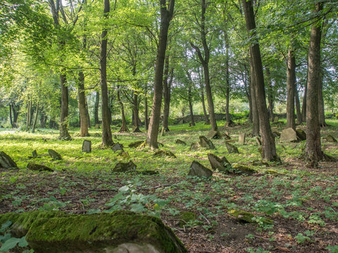 Jewish Cemetery