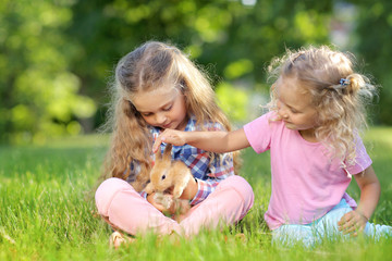 Two little sisters with a cute rabbit, outdoor, summer day